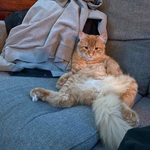 Meet your Posher, Christopher